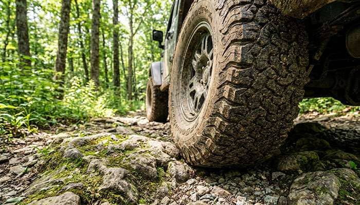 Close-up of a 4WD vehicle's rugged off-road tire on a rocky forest trail with tall trees and greenery