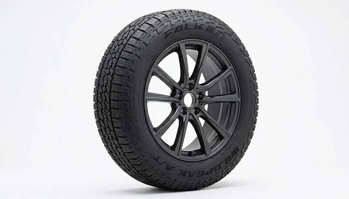 TSV 19-inch black alloy wheel with Falken Wildpeak all-terrain tire for Tesla Model Y Overland Adventure