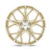 Cray Hammerhead Gloss Gold W/ Mirror Cut Face-3