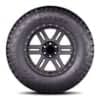 Fortune Tormenta R/T FSR309-3