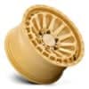 Black Rhino Raid Gold-2