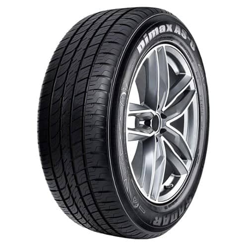Radar Dimax AS-8 245/40R17 XL 95Y (DSC0156)