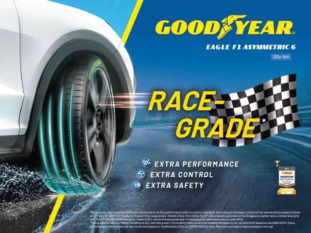 Goodyear Eagle F1 Asymmetric 6