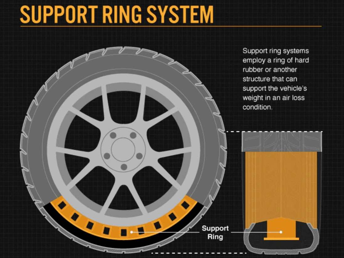 Showing Support Ring System