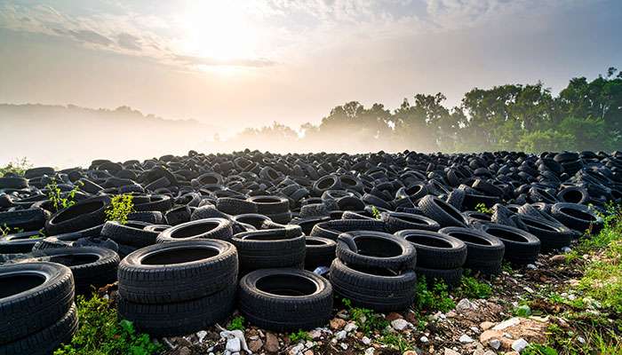 Tires in a Landfill