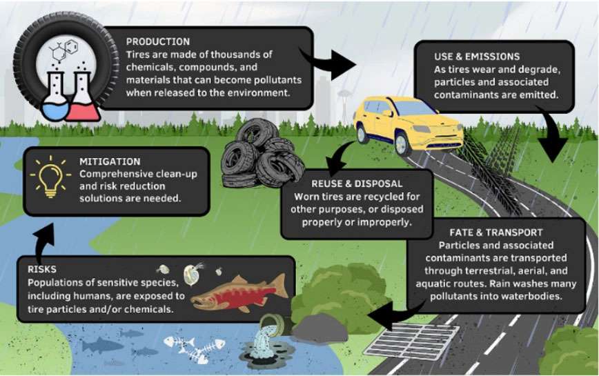 Tires Contribute to Microplastic Pollution
